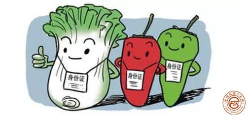 福建省食品安全信息追溯管理辦法 3月1日實(shí)施,這些內(nèi)容要注意......